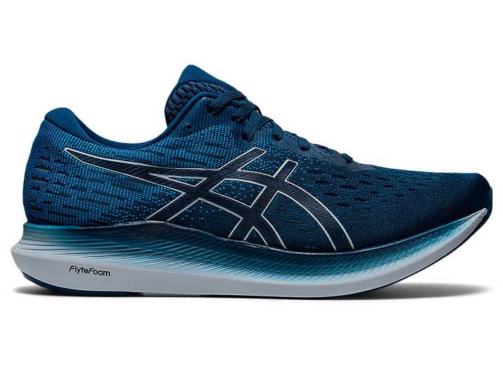 Men's Asics EVORIDE 2 Running Shoes Blue / Grey | Israel-0754923
