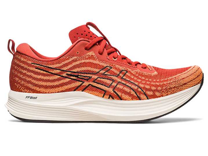 Men's Asics EvoRide SPEED Running Shoes Brown / Black | Israel-3215846