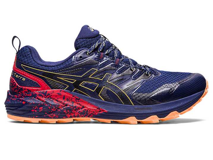 Men's Asics GEL-Trabuco Terra Trail Running Shoes Blue / Olive | Israel-1802639