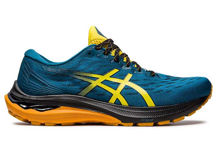 Men's Asics GT-2000 11 TR WIDE NATURE BATHING Trail Running Shoes Blue / Gold Yellow | Israel-0614972